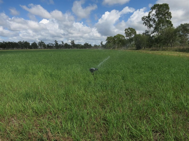 72253 Bruce Highway, Marlborough QLD 4705
