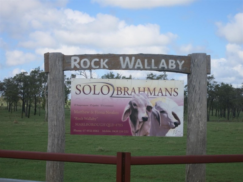 72253 Bruce Highway, Marlborough QLD 4705