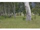 72253 Bruce Highway, Marlborough QLD 4705