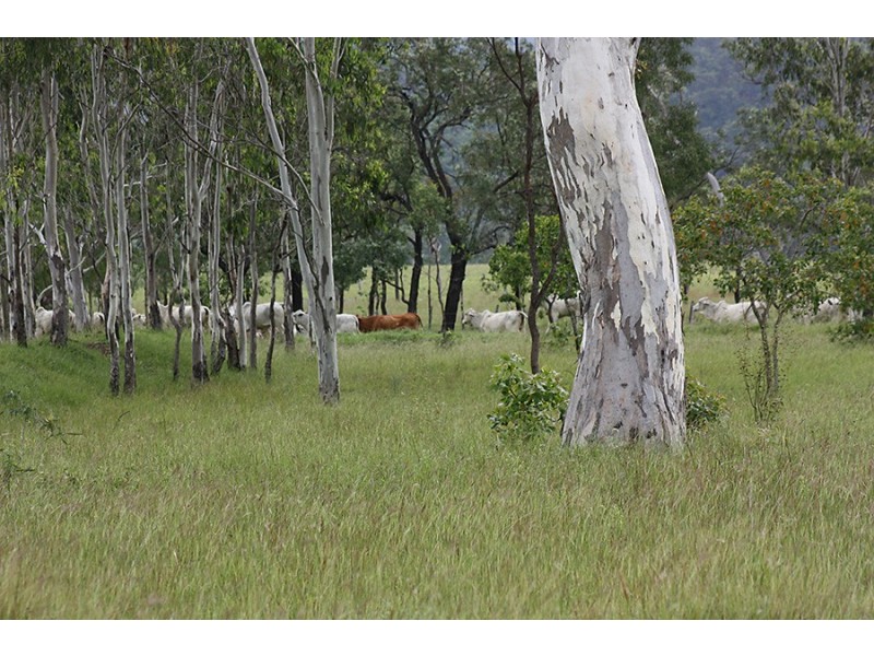 72253 Bruce Highway, Marlborough QLD 4705