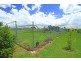 178 McEvoy Road, Kabra QLD 4702