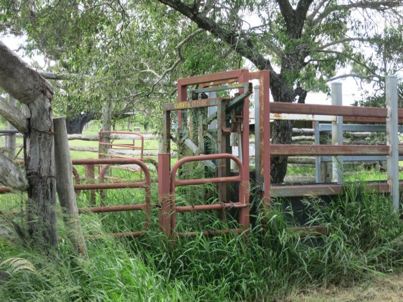 695 Old Coach Road, Marmor QLD 4702