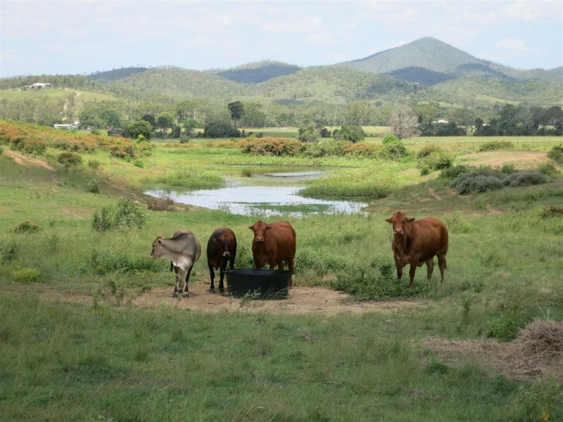 535 Fire Creek Road, Raglan QLD 4697