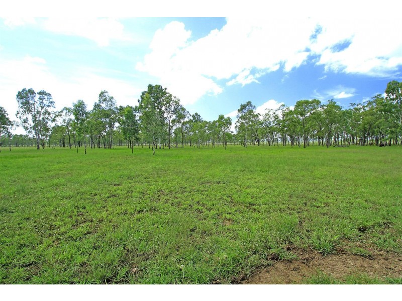 67 South Ulam Road, Bajool QLD 4699