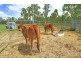 67 South Ulam Road, Bajool QLD 4699