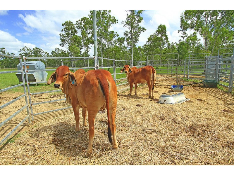 67 South Ulam Road, Bajool QLD 4699