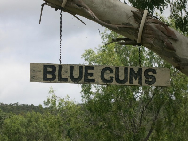 190 Arthur Street, Westwood QLD 4702