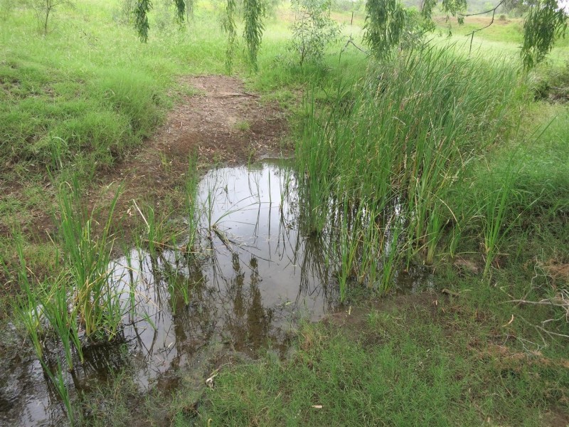 190 Arthur Street, Westwood QLD 4702