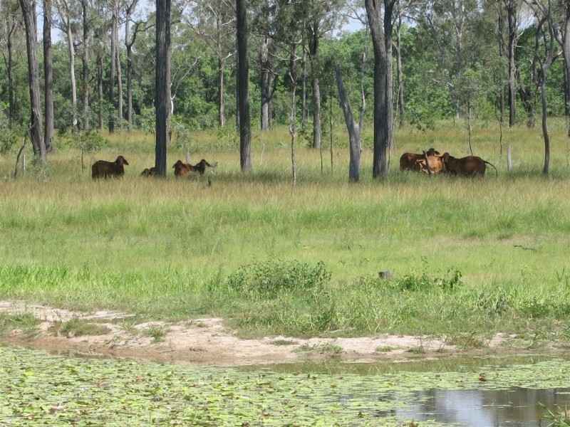 Lot 1 “BALD RIDGE” Nimmitabel Road, St Lawrence QLD 4707
