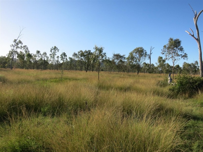 Lot 1 “BALD RIDGE” Nimmitabel Road, St Lawrence QLD 4707