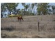 92 Bond Road, Alton Downs QLD 4702
