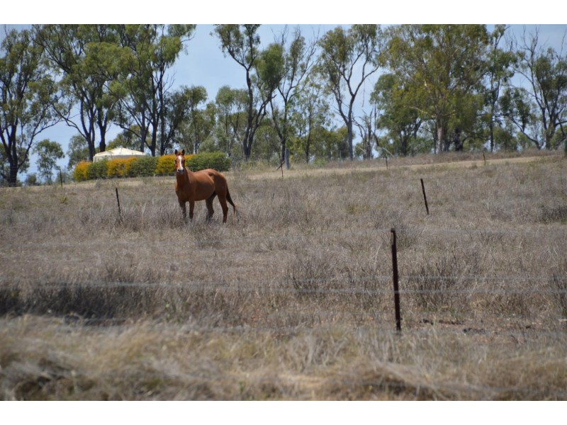 92 Bond Road, Alton Downs QLD 4702