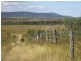 . Glenroy Road, Morinish QLD 4702