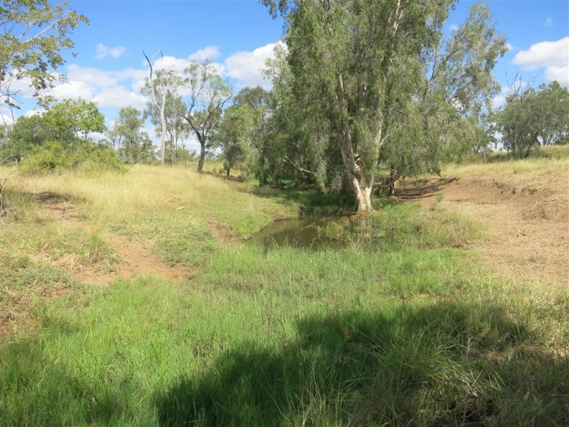 . Glenroy Road, Morinish QLD 4702