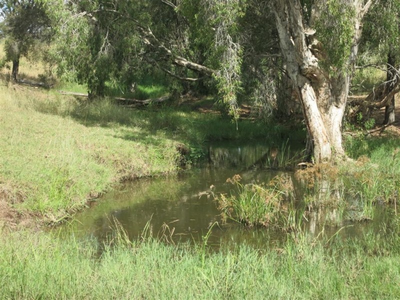 . Glenroy Road, Morinish QLD 4702