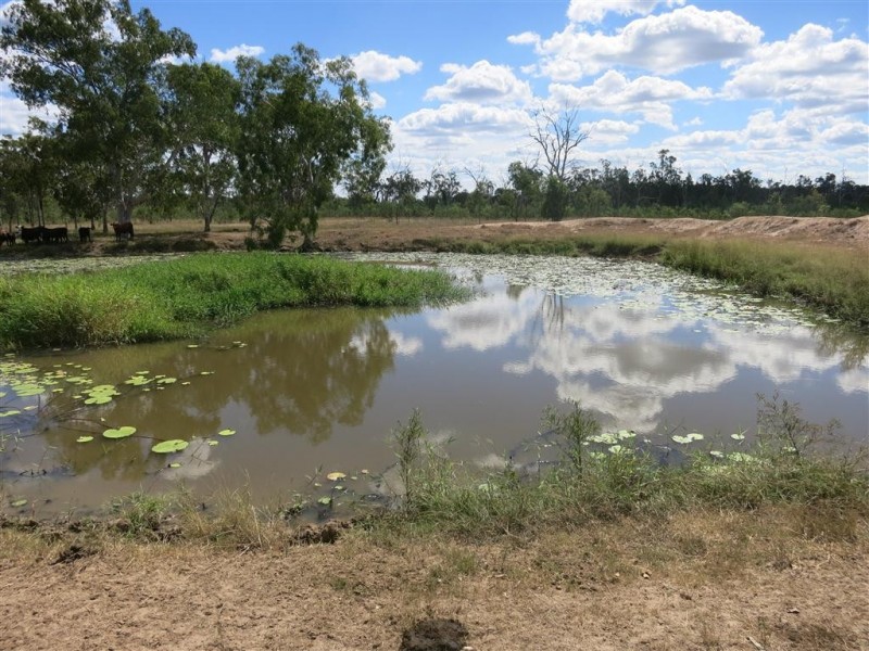 . Glenroy Road, Morinish QLD 4702