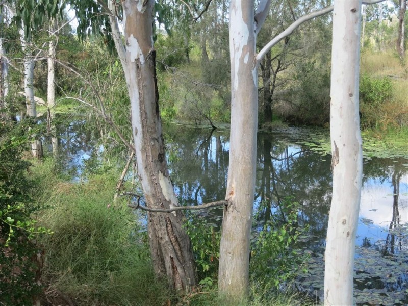 . Glenroy Road, Morinish QLD 4702