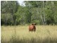 . Glenroy Road, Morinish QLD 4702