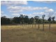 . Glenroy Road, Morinish QLD 4702