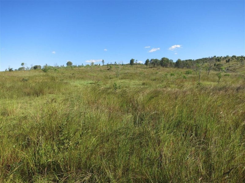 . Glenroy Road, Morinish QLD 4702