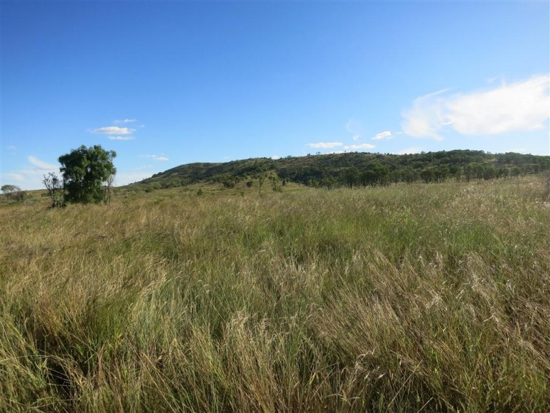 . Glenroy Road, Morinish QLD 4702