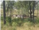 . Glenroy Road, Morinish QLD 4702
