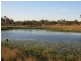 426 Bishop Road, Garnant QLD 4702