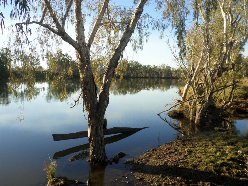 Lot 99 McKenzie Road, Alton Downs QLD 4702