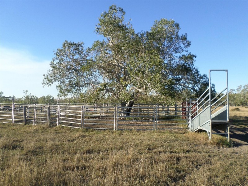 Lot 99 McKenzie Road, Alton Downs QLD 4702