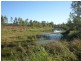 Lot 99 McKenzie Road, Alton Downs QLD 4702