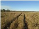 Lot 99 McKenzie Road, Alton Downs QLD 4702