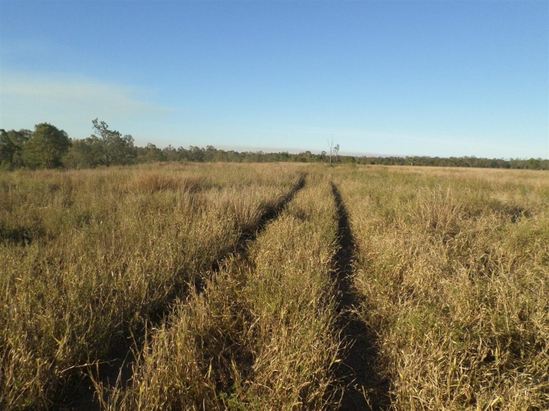 Lot 99 McKenzie Road, Alton Downs QLD 4702