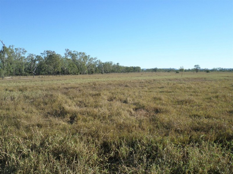 Lot 99 McKenzie Road, Alton Downs QLD 4702