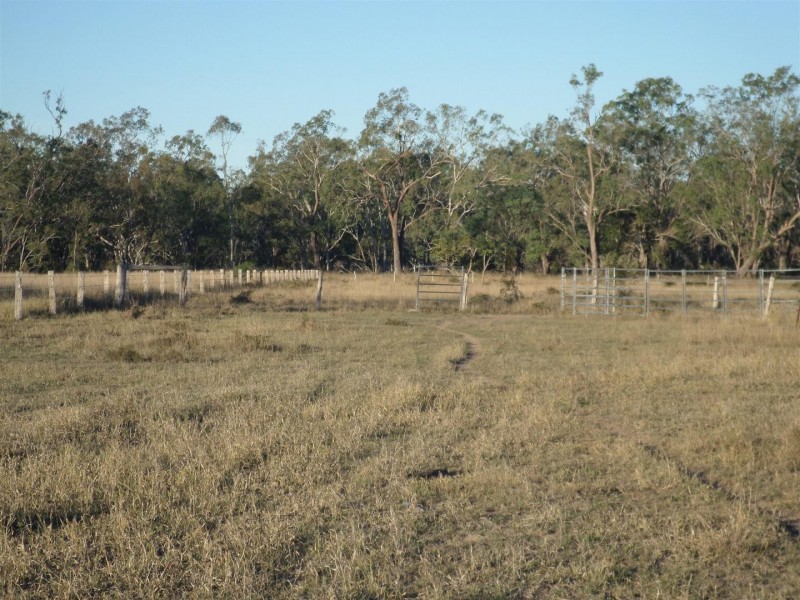 Lot 99 McKenzie Road, Alton Downs QLD 4702