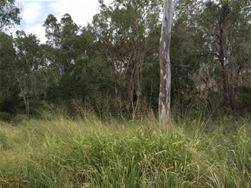 93 River Street, Mount Morgan QLD 4714