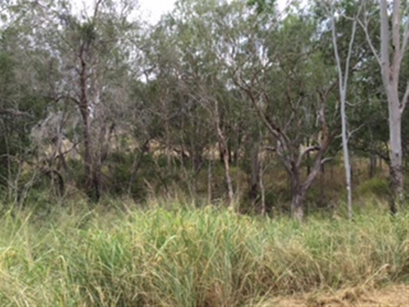 93 River Street, Mount Morgan QLD 4714