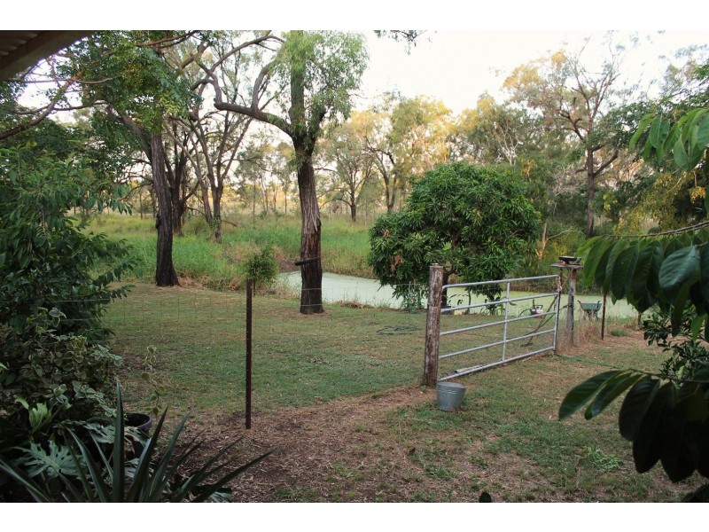 12 Douglas Street, Gracemere QLD 4702