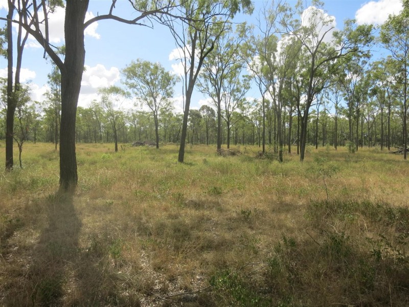 14a Bull Frog Lane, Bajool QLD 4699