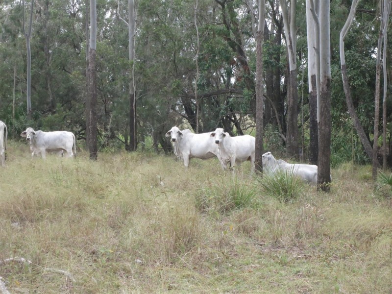 Lot 14 Atkinson Road, Kunwarara QLD 4702