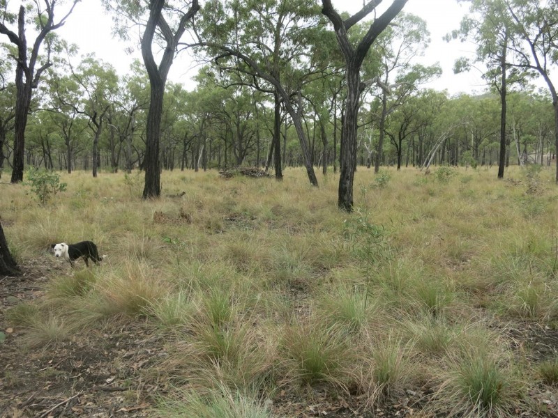 Lot 14 Atkinson Road, Kunwarara QLD 4702