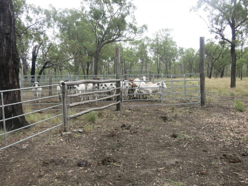 Lot 14 Atkinson Road, Kunwarara QLD 4702