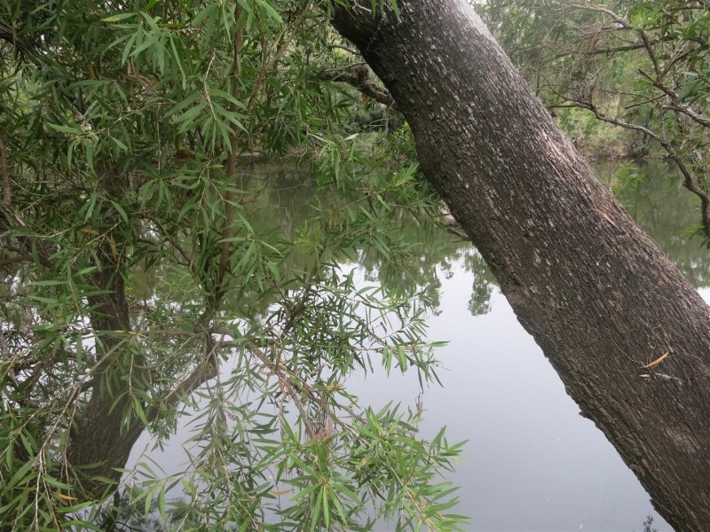 Lot 14 Atkinson Road, Kunwarara QLD 4702