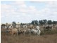 0 “Orana” Duaringa-Biloela Road, Gainsford QLD 4702