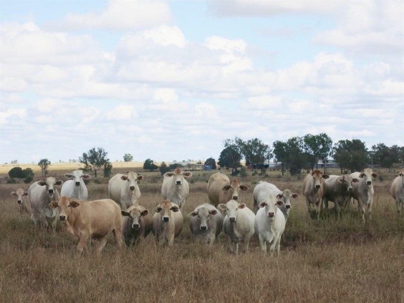 0 “Orana” Duaringa-Biloela Road, Gainsford QLD 4702