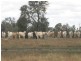 0 “Orana” Duaringa-Biloela Road, Gainsford QLD 4702