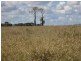 0 “Orana” Duaringa-Biloela Road, Gainsford QLD 4702