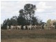 0 “Orana” Duaringa-Biloela Road, Gainsford QLD 4702