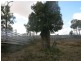 0 “Orana” Duaringa-Biloela Road, Gainsford QLD 4702