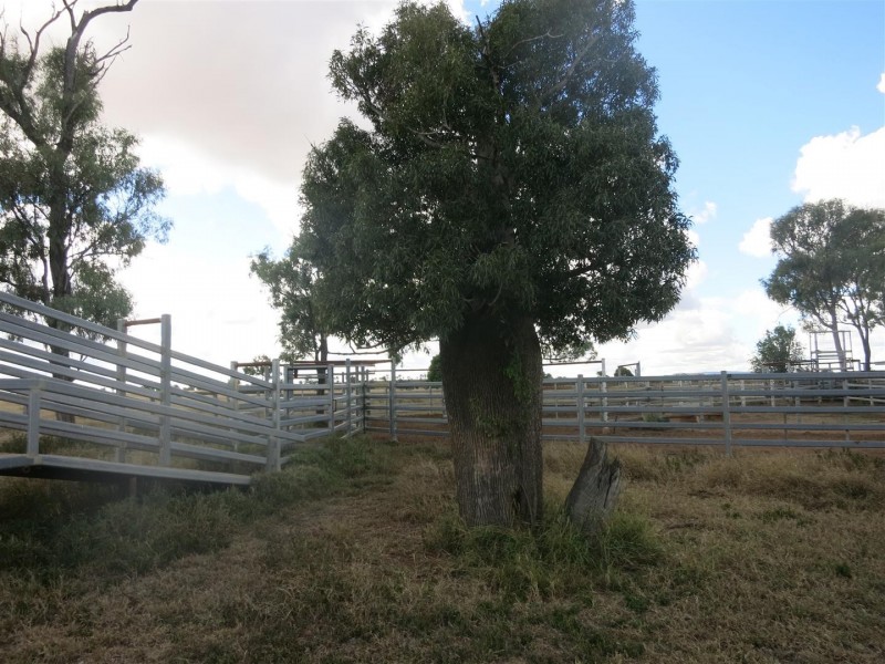0 “Orana” Duaringa-Biloela Road, Gainsford QLD 4702