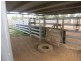 0 “Orana” Duaringa-Biloela Road, Gainsford QLD 4702